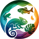 O2F Logo