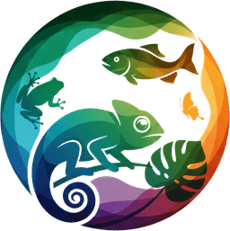 O2F Logo